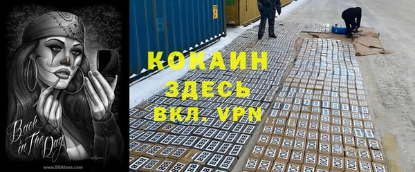 твердый Алексеевка