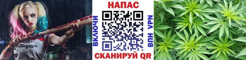 кракен как зайти  Анива  Каннабис White Widow  купить  цена 